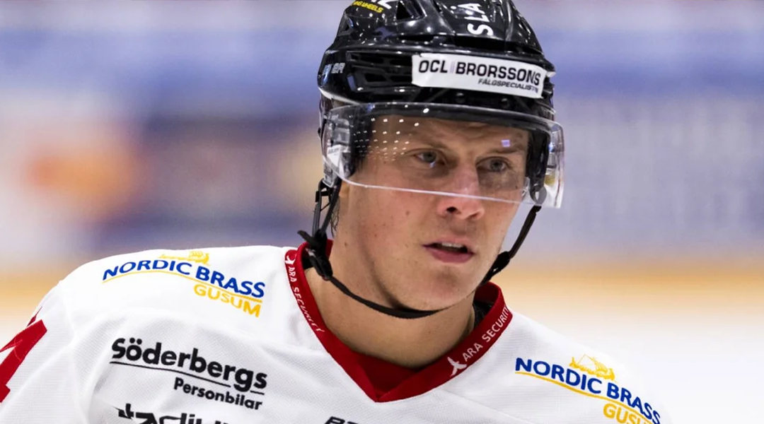 Schwedischer Neuzugang für die Roten Teufel