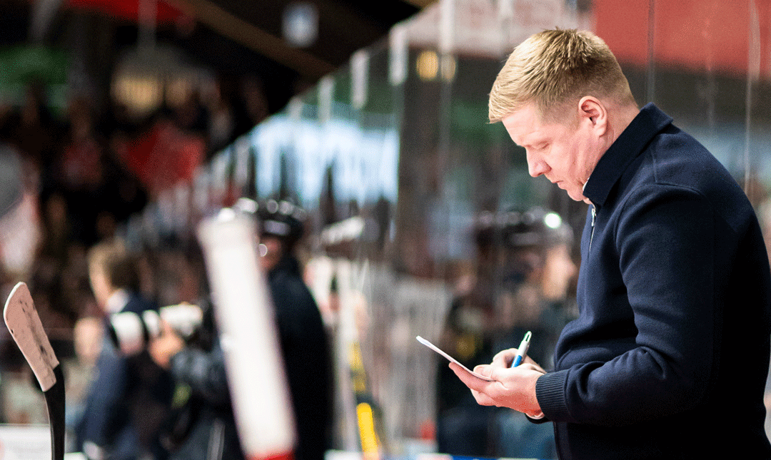 Neuzugänge bringen frischen Wind