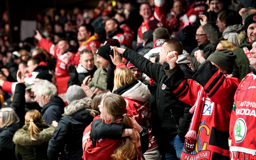 Mit Olsen, ohne Koch – Rote Teufel gegen formstarke Füchse – Am Sonntag Bus-Konvoi nach Düsseldorf